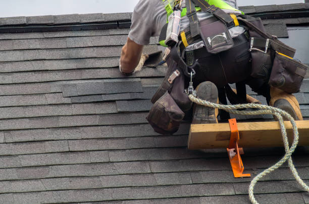 Quick and Trustworthy Emergency Roof Repair Services in Palm Harbor, FL