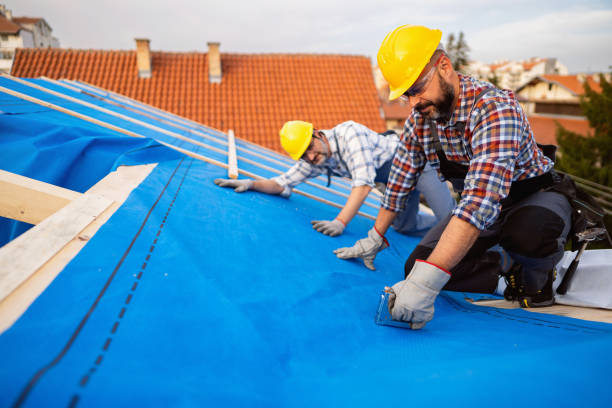 Best Roof Leak Repair  in Palm Harbor, FL