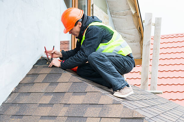 Best Emergency Roof Repair  in Palm Harbor, FL